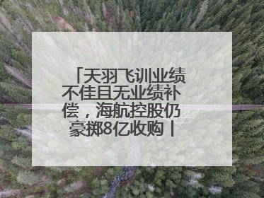天羽飞训业绩不佳且无业绩补偿，海航控股仍豪掷8亿收购丨一周市场观察