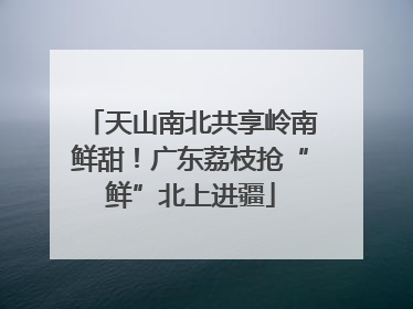 天山南北共享岭南鲜甜！广东荔枝抢“鲜”北上进疆