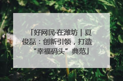 好网民·在潍坊｜夏俊磊：创新引领，打造“幸福码头”典范