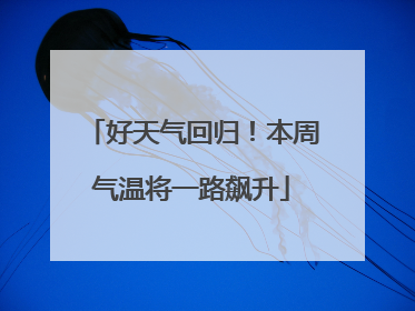 好天气回归！本周气温将一路飙升
