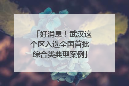好消息！武汉这个区入选全国首批综合类典型案例