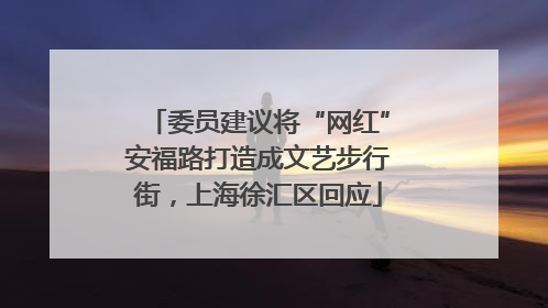 委员建议将“网红”安福路打造成文艺步行街，上海徐汇区回应