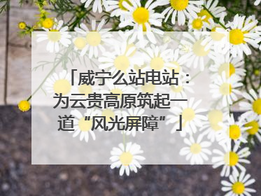 威宁么站电站：为云贵高原筑起一道“风光屏障”