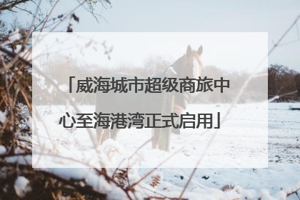 威海城市超级商旅中心至海港湾正式启用