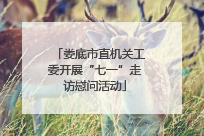 娄底市直机关工委开展“七一”走访慰问活动
