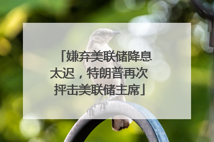 嫌弃美联储降息太迟，特朗普再次抨击美联储主席