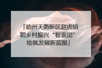 德州天衢新区赵虎镇聘乡村振兴“智囊团” 绘就发展新蓝图