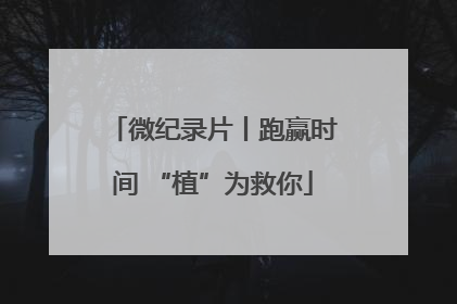 微纪录片丨跑赢时间 “植”为救你