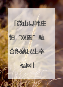 微山县韩庄镇“双圈”融合织就民生幸福网