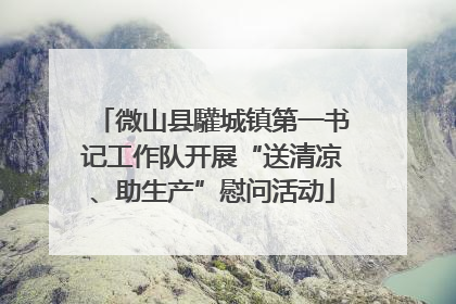 微山县驩城镇第一书记工作队开展“送清凉、助生产”慰问活动