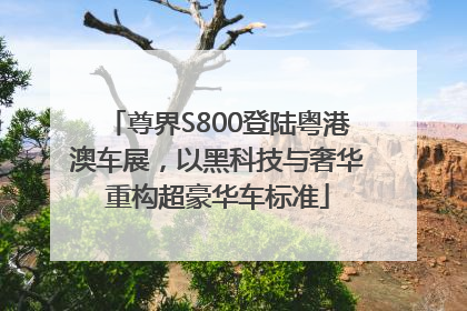尊界S800登陆粤港澳车展，以黑科技与奢华重构超豪华车标准