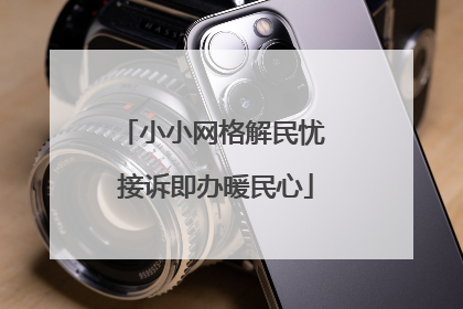 小小网格解民忧 接诉即办暖民心