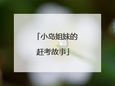 小岛姐妹的赶考故事