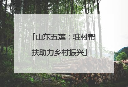山东五莲：驻村帮扶助力乡村振兴