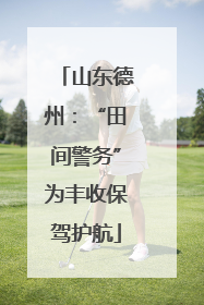 山东德州：“田间警务”为丰收保驾护航