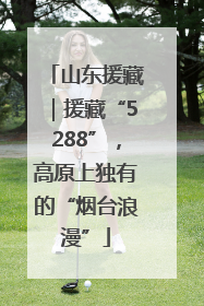 山东援藏｜援藏“5288”，高原上独有的“烟台浪漫”