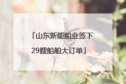 山东新能船业签下29艘船舶大订单