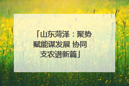 山东菏泽：聚势赋能谋发展 协同支农谱新篇