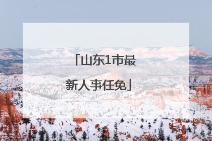 山东1市最新人事任免