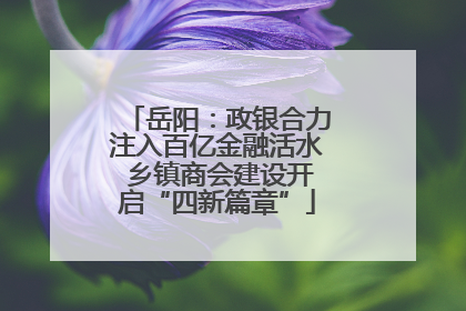 岳阳：政银合力注入百亿金融活水 乡镇商会建设开启“四新篇章”