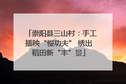 崇阳县三山村：手工插秧“慢功夫” 绣出稻田新“丰”景