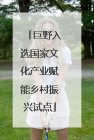 巨野入选国家文化产业赋能乡村振兴试点