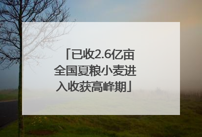 已收2.6亿亩 全国夏粮小麦进入收获高峰期