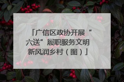 广信区政协开展“六送”履职服务文明新风润乡村（图）