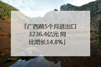 广西前5个月进出口3236.4亿元 同比增长14.8%