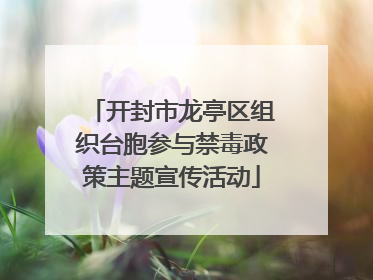 开封市龙亭区组织台胞参与禁毒政策主题宣传活动