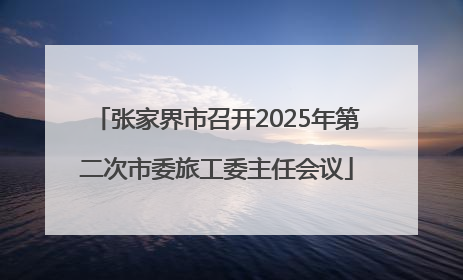 张家界市召开2025年第二次市委旅工委主任会议