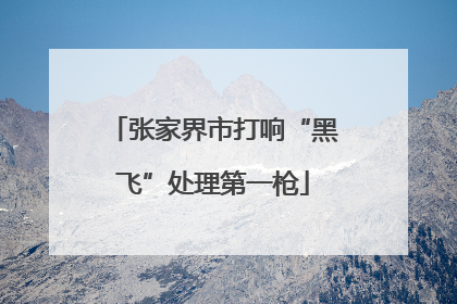 张家界市打响“黑飞”处理第一枪