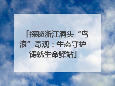 探秘浙江洞头“鸟浪”奇观：生态守护铸就生命驿站