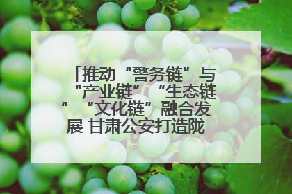 推动“警务链”与“产业链”“生态链”“文化链”融合发展 甘肃公安打造陇原旅游警务品牌