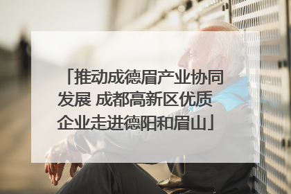 推动成德眉产业协同发展 成都高新区优质企业走进德阳和眉山