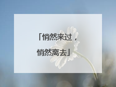 悄然来过，悄然离去