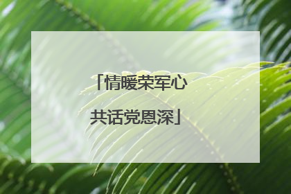 情暖荣军心 共话党恩深