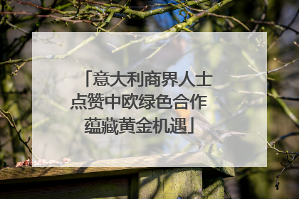 意大利商界人士点赞中欧绿色合作蕴藏黄金机遇