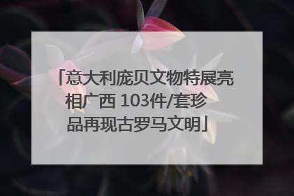 意大利庞贝文物特展亮相广西 103件/套珍品再现古罗马文明