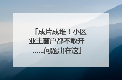成片成堆！小区业主窗户都不敢开……问题出在这