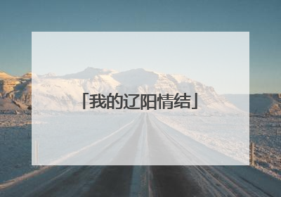 我的辽阳情结