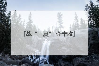战“三夏” 夺丰收