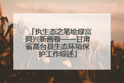 执生态之笔绘绿富同兴新画卷——甘肃省高台县生态环境保护工作综述
