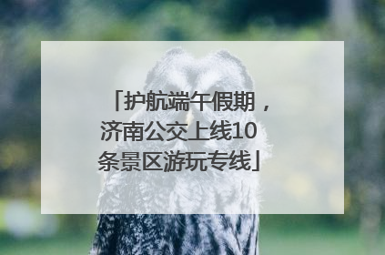 护航端午假期，济南公交上线10条景区游玩专线