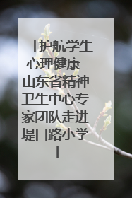 护航学生心理健康 山东省精神卫生中心专家团队走进堤口路小学