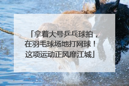 拿着大号乒乓球拍，在羽毛球场地打网球！这项运动正风靡江城