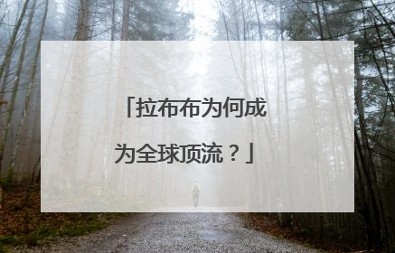 拉布布为何成为全球顶流？