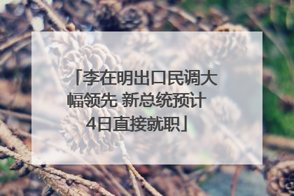 李在明出口民调大幅领先 新总统预计4日直接就职