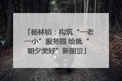 杨林镇：构筑“一老一小”服务圈 绘就“朝夕美好”新图景
