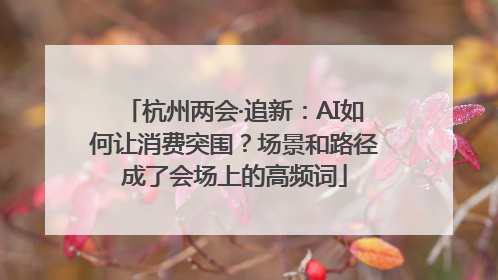 杭州两会·追新：AI如何让消费突围？场景和路径成了会场上的高频词